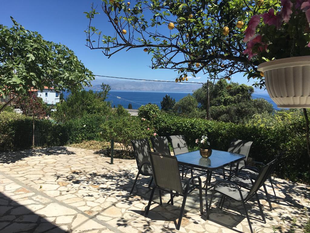 Dream View